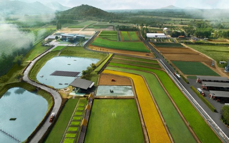 InnovationThailand.org is a Must-Visit for Innovation Enthusiasts